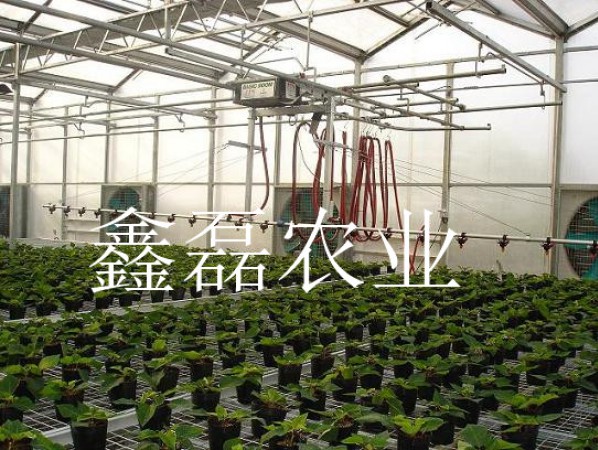 溫室噴灌系統